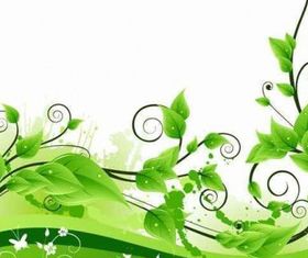 Green Floral Background vector