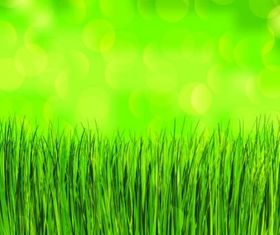 green grass background vectors