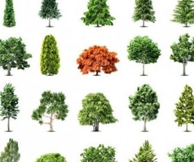 big trees 03 set vector