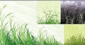 grass material vectors graphics
