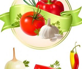 Several vegetables vector