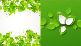 Backgrounds with Leaves vector graphics