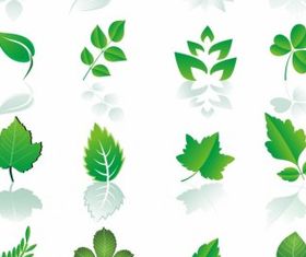 Leaf design element set vector