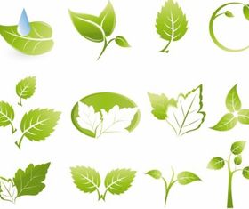 Green leaf icons vectors