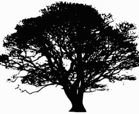 Tree Silhouettes clip art vectors material
