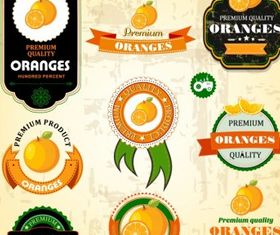 Oranges Label vector