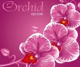beautiful flowers background 01 vector