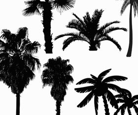 Silhouettes palm trees vector