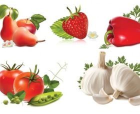 fruits and vegetables vector