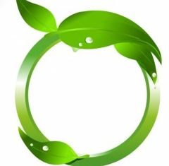 Leaf Frame graphic vector