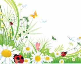 Butterfly background shiny vector