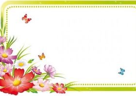 beautiful flowers and lace 05 set vector