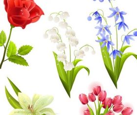 flower beautiful 5 vector graphics