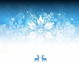 Christmas Card Design vector graphic
