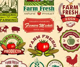 Organic Food Labels vector graphic