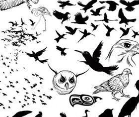 Birds Silhouettes vector