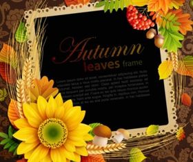 autumn leaves frame background vector