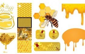 bee honey honeycomb creative vector