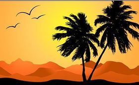 Palm tree in sunset vector