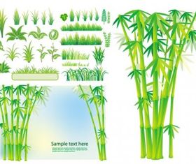 bamboo grass plant vector graphic