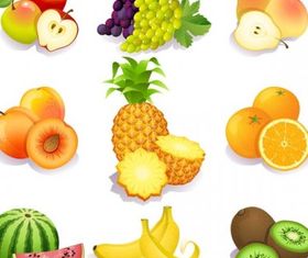 fresh fruits vector set