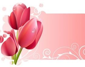 beautiful flowers and lace vector