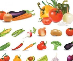 vegetables vector
