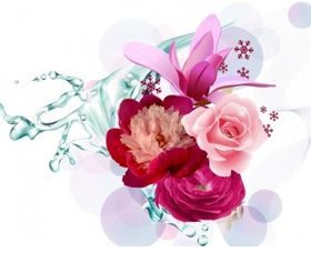 Flower graphic vector