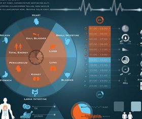 Medical Infographics Elements 2 vectors graphics