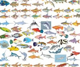 Collection Fish vector