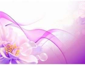 Flower Pink Background creative vector