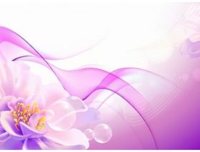 Flower Pink Background creative vector