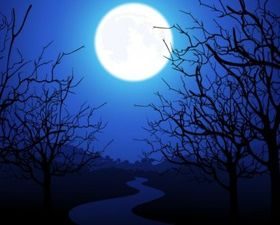 Moonlight Trees Vector background