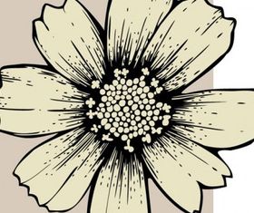 Draft line pattern 04 vector