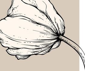 Draft line pattern 05 vector