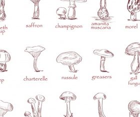 Mushroom collection set vectors graphics