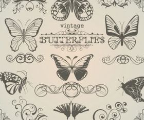 Butterfly pattern 1 vector set