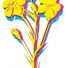 Abstract print vector graphic