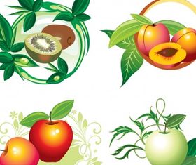 Fruit designs vectors graphics