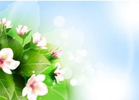 Beautiful flowers 2 vector