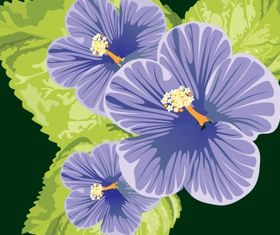 Floral background 39 set vector