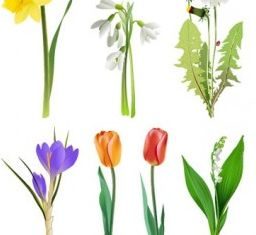 flowers graphic vector