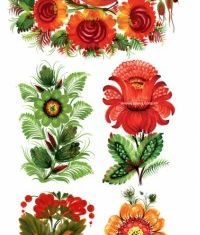 Handpainted floral decoration style Illustration vector