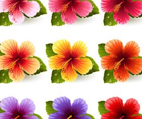 Flowers graphic 2 vector