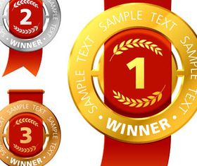 Awards and Medals 3 design vectors