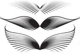 Wing graphics vector design
