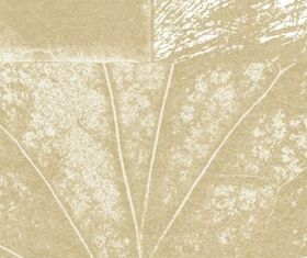 Texture and background vector