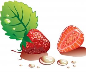 Strawberry vector graphics