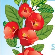 Floral background 08 vectors material