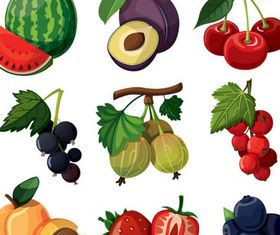 Hand drawn fruits graphics vector 03 free download